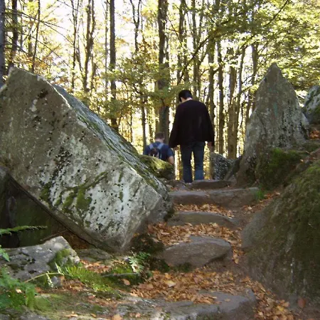 Fernblick Freyung