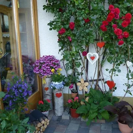 Fernblick Apartment Freyung