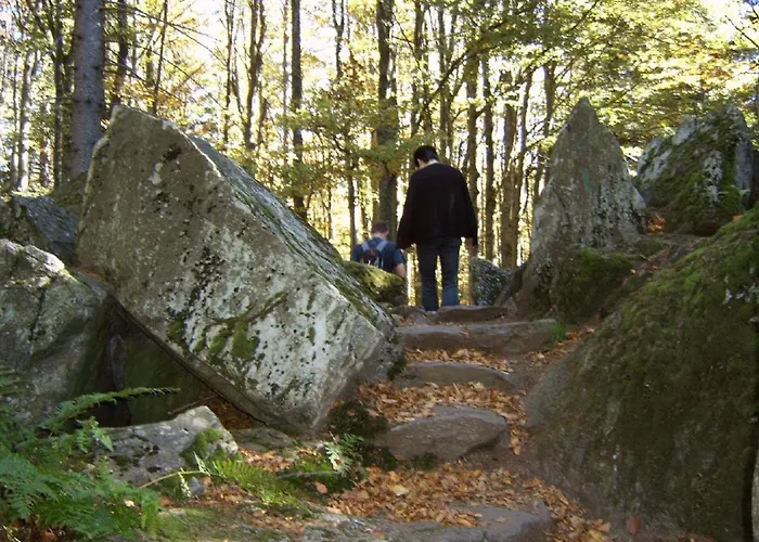 Fernblick Freyung